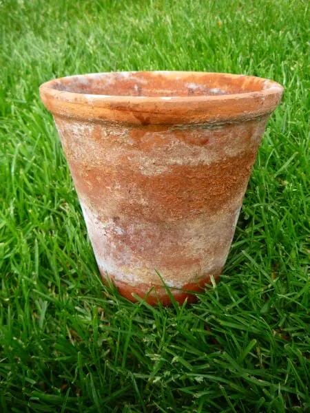 280 Antique Terracotta Plant Pots  - 4016