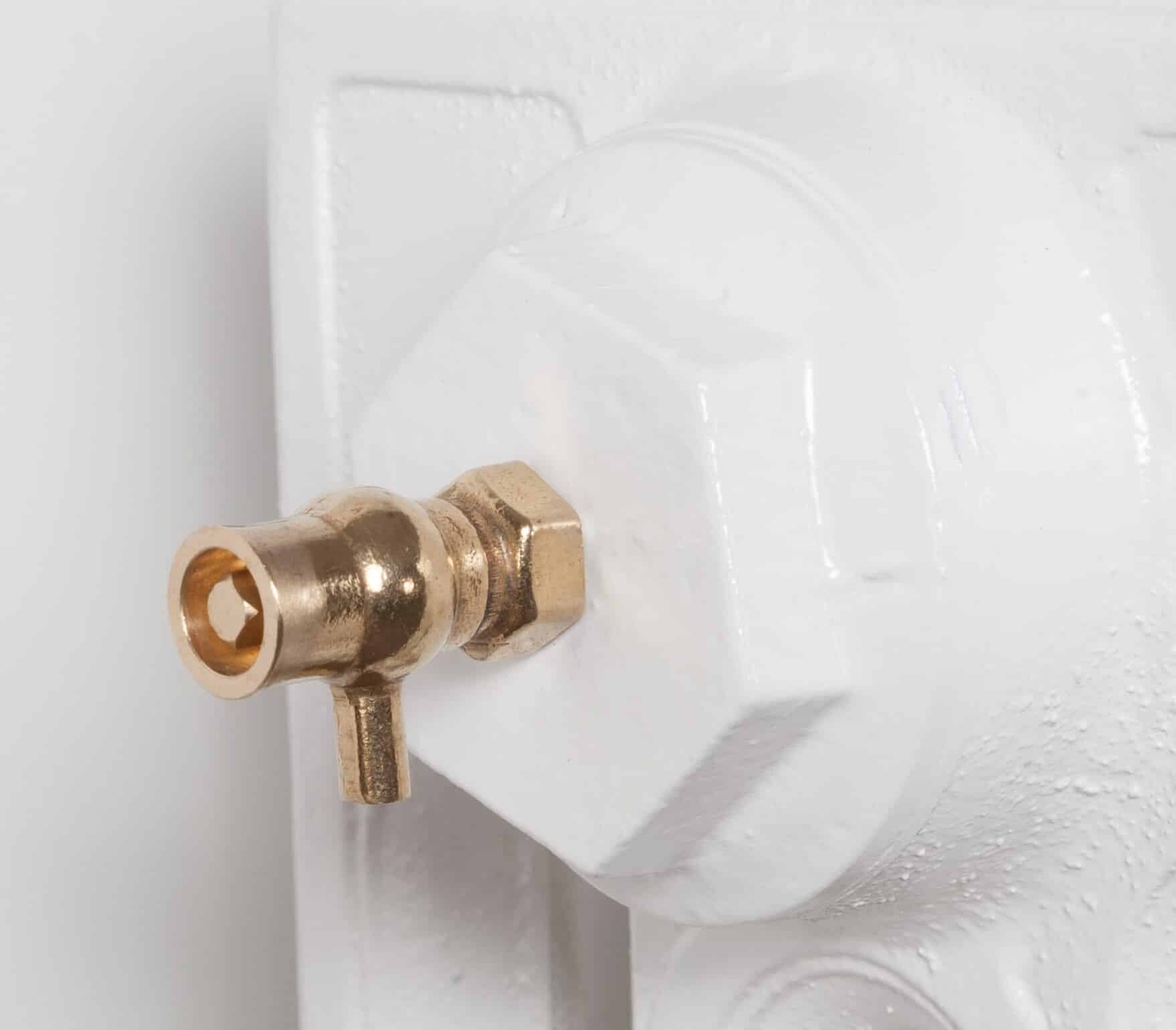 Traditional Brass Radiator Air Vent