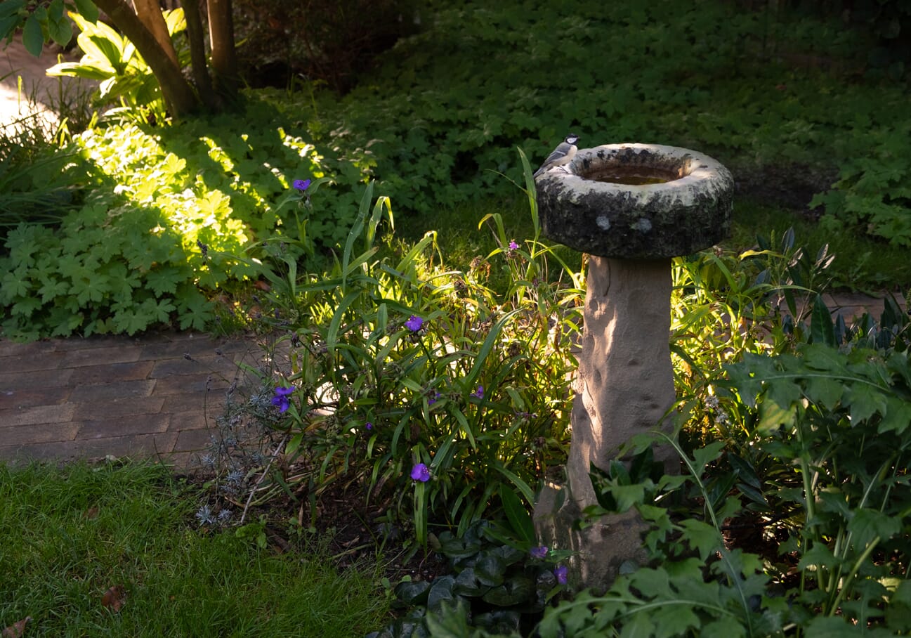 Reclaimed Victorian Bird Bath Fitted