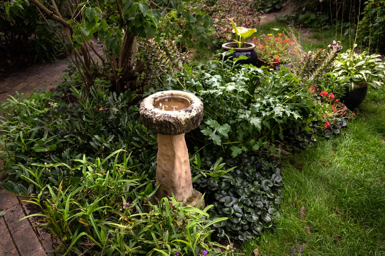 Reclaimed Victorian Bird Baths Fitted In a Customers Home