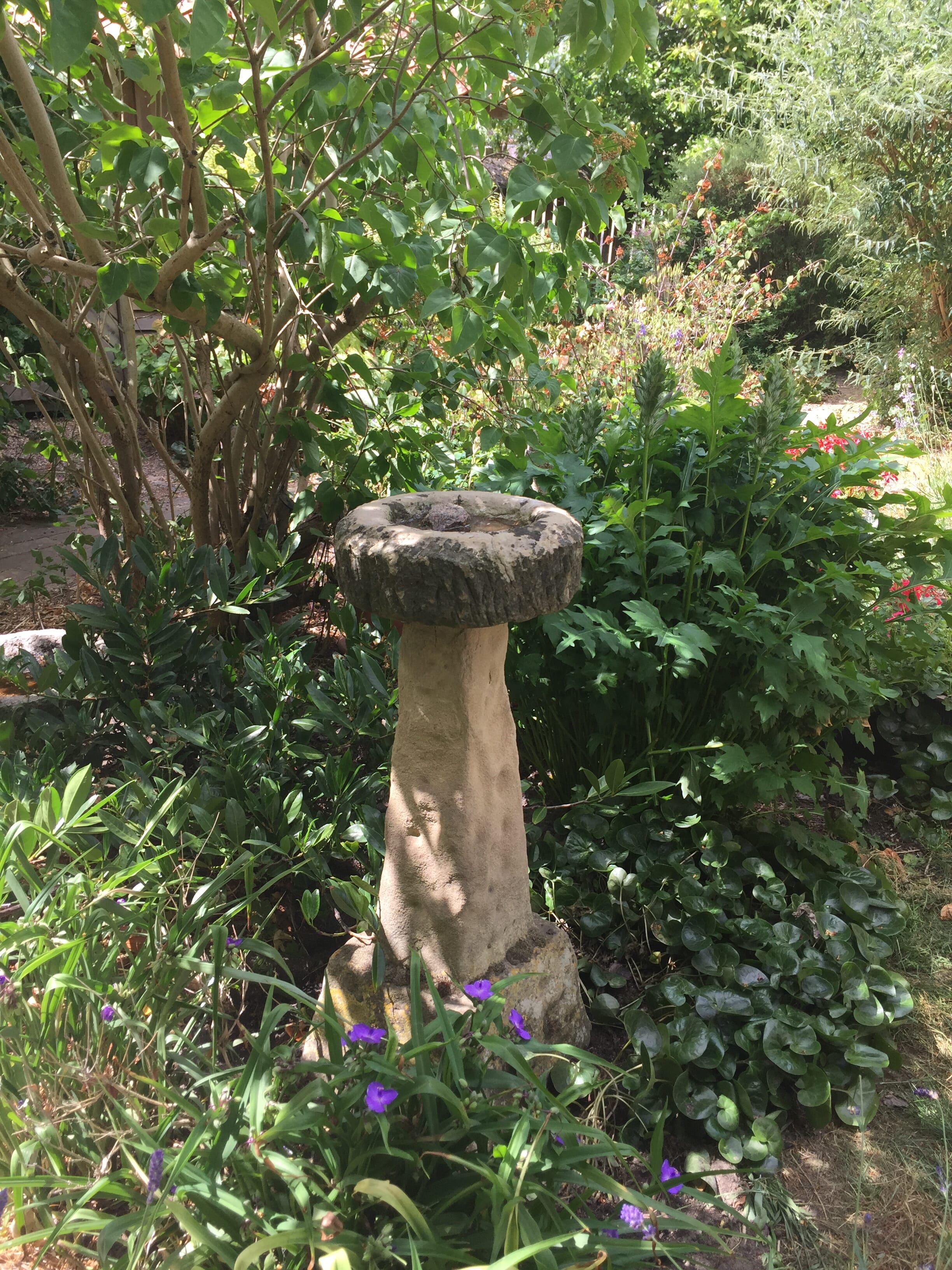 Antique Bird Bath Purchased From UKAA