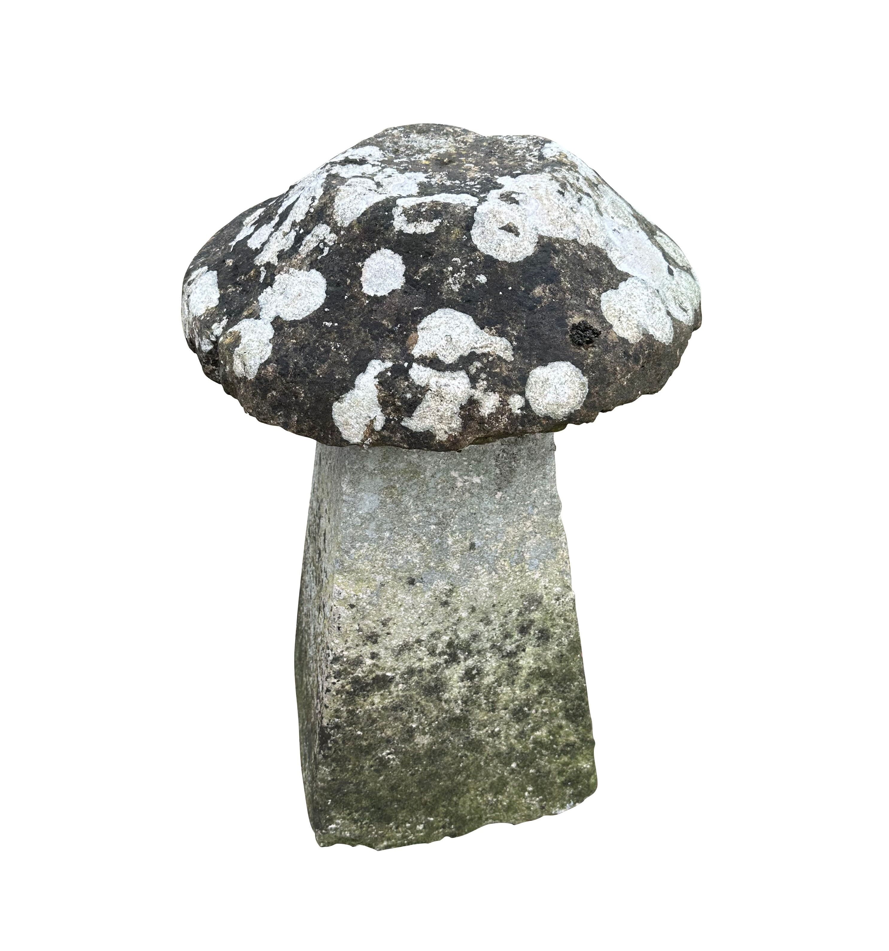 Garden Outdoor Reclaimed Original Carved Staddle Stone - 10617B