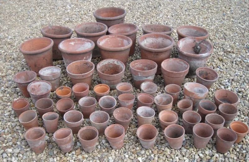 Lot 4 - Large Quantity of Antique Teracotta Plant Pots - 4728