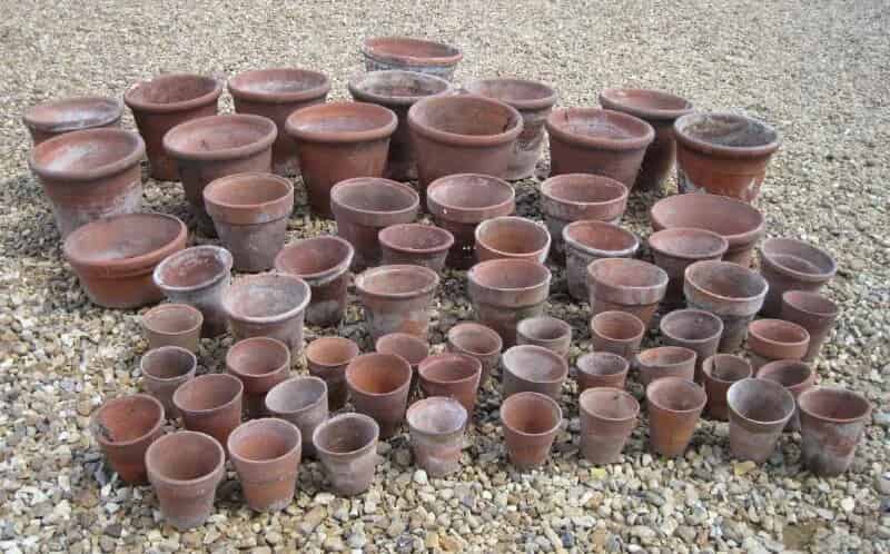 Lot 5 - Large Quantity of Antique Teracotta Plant Pots