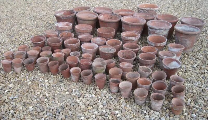 Lot 6 - Large Quantity of Antique Teracotta Plant Pots - 4730