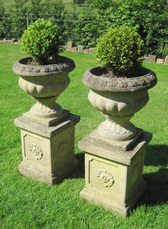 Pair of Vintage Pots on Plinths with Buxus Plants - 4777
