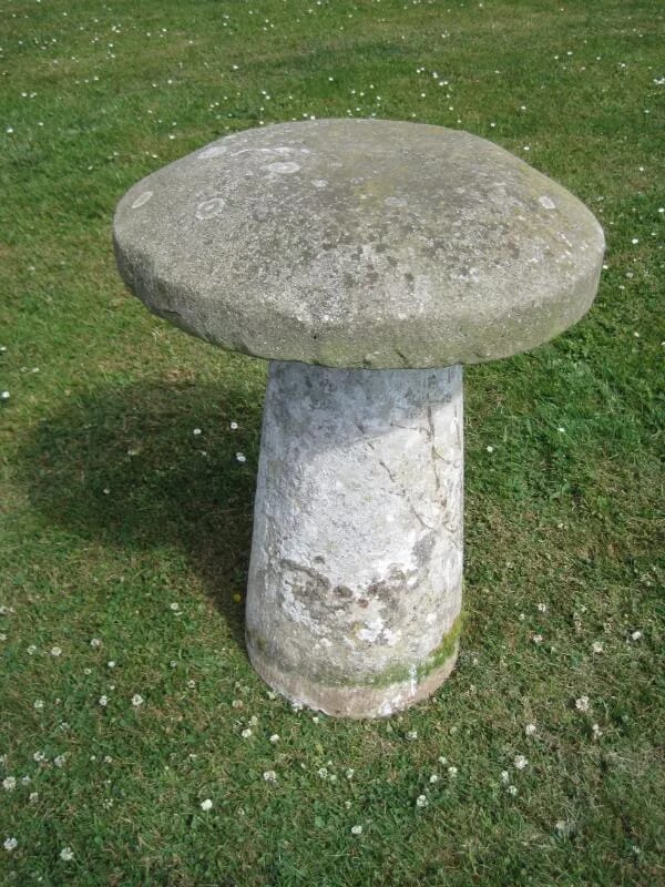 Antique Staddlestone Reclaimed from Hampshire - number 4818 - 4818