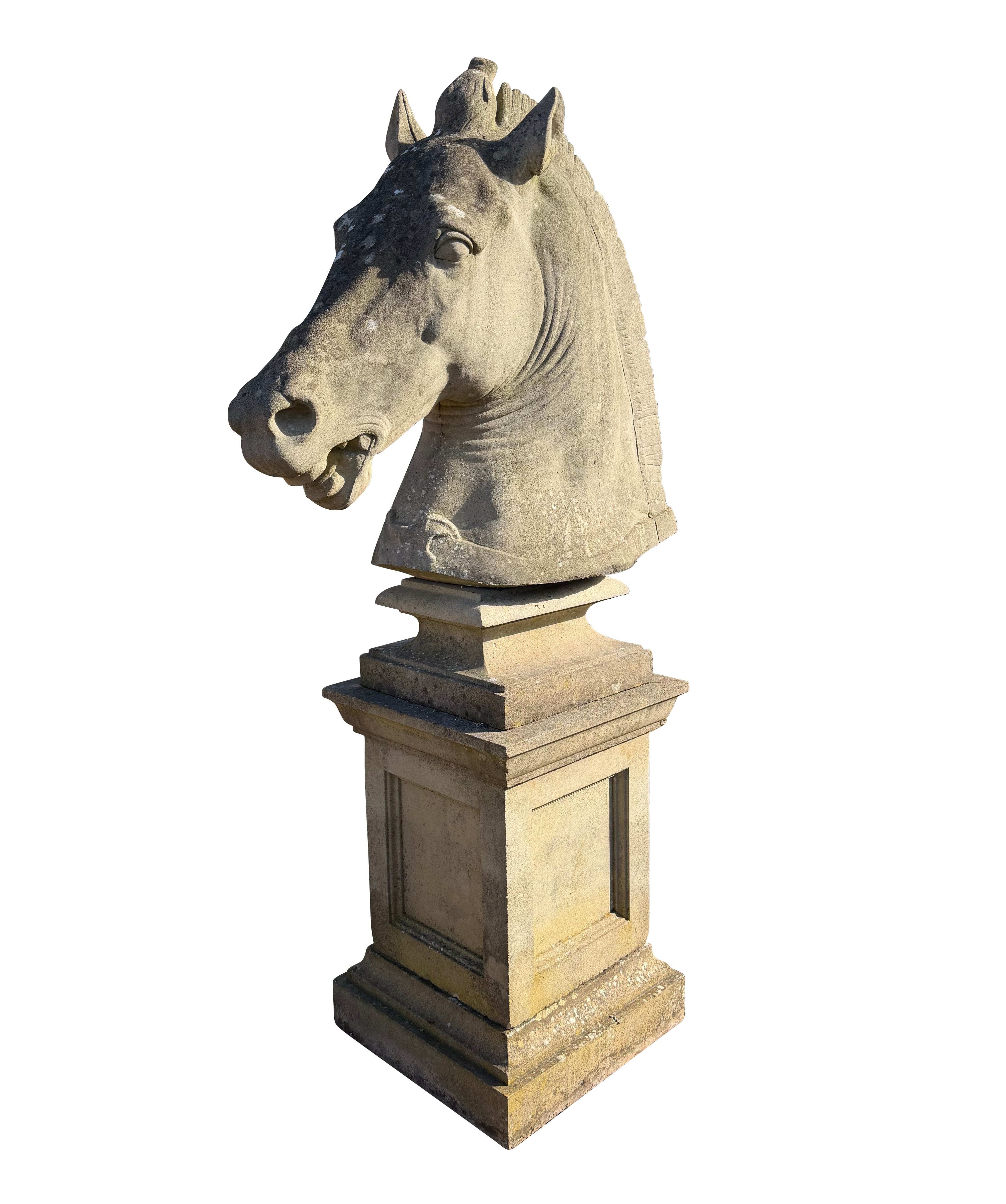 Reclaimed Haddonstone Garden Horse Bust On Plinth - 11016