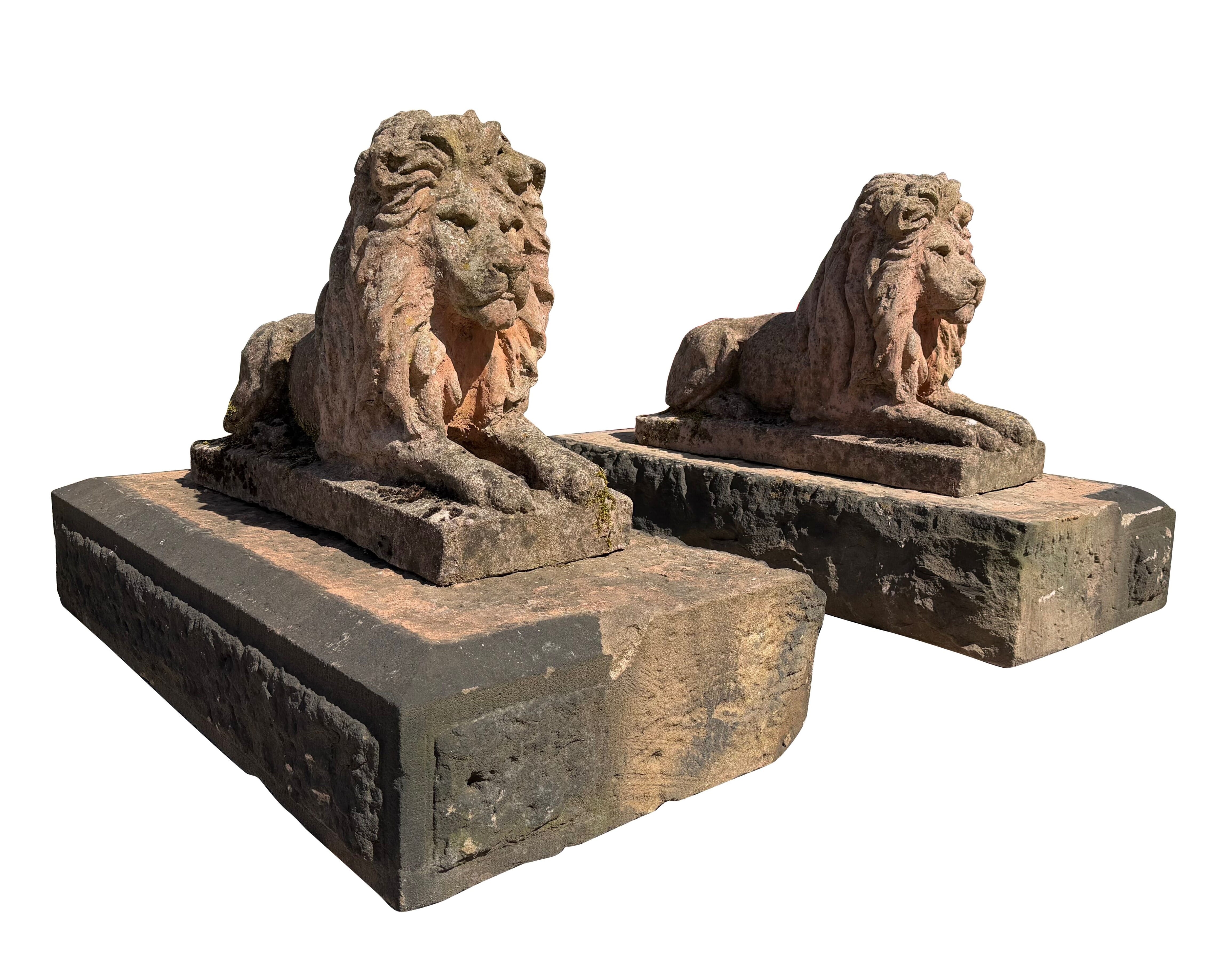 Pair of Large Terracotta Lions on Carved Stone Plinths - 11101