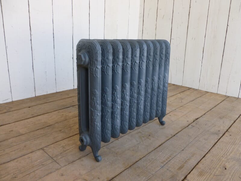 Daisy 2 Column Radiator - Dai595/10pf