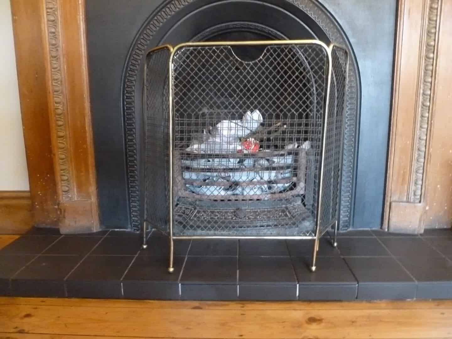 Antique Victorian Fireplace Spark Guard
