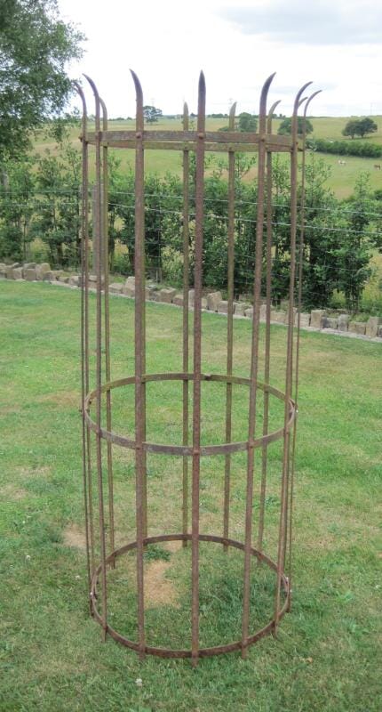 Wrought Iron Antique Tree Guard - 4801