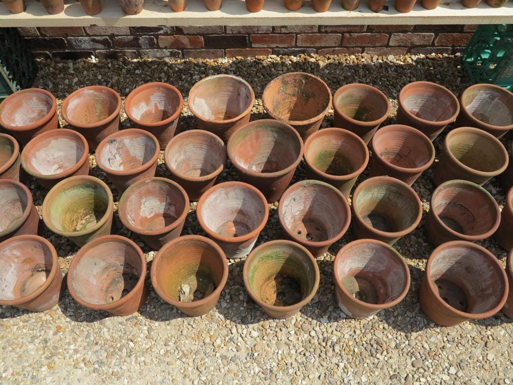 Large Quantity of Antique Terracotta Plant Pots - 6889