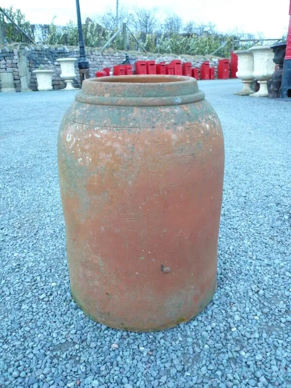 Original Salvaged Terracotta Rhubarb Forcer - 3301