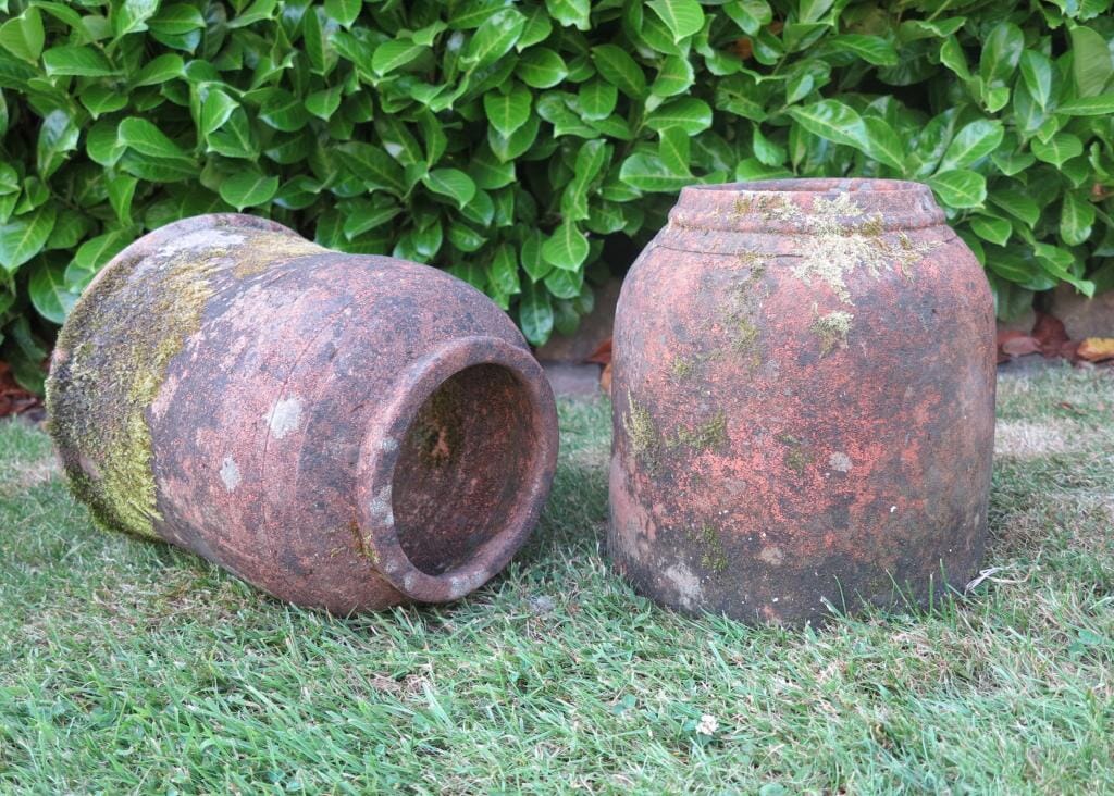 Two Garden Terracotta Rhubarb Forcers - 7416